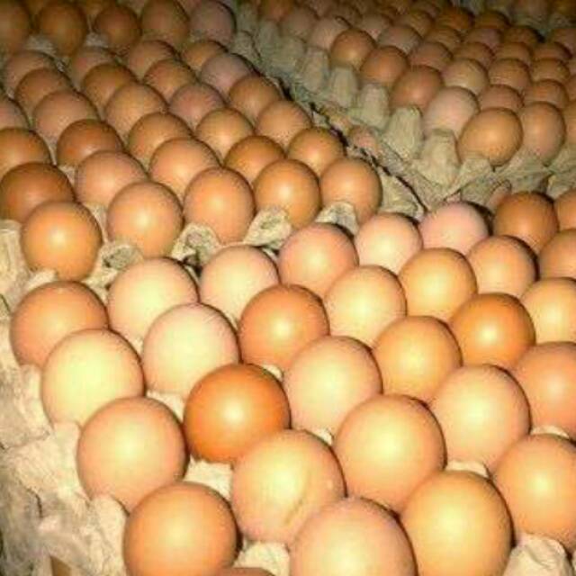 Per 30 butir (1 tray) telur ayam negeri. Agen telur segar. Grosir telur ayam