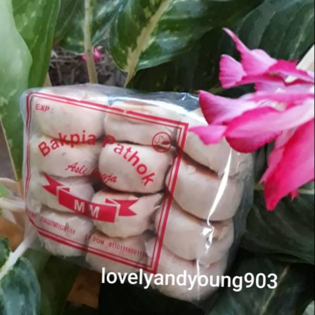 

Bakpia Pathok Asli Jogja isi 12