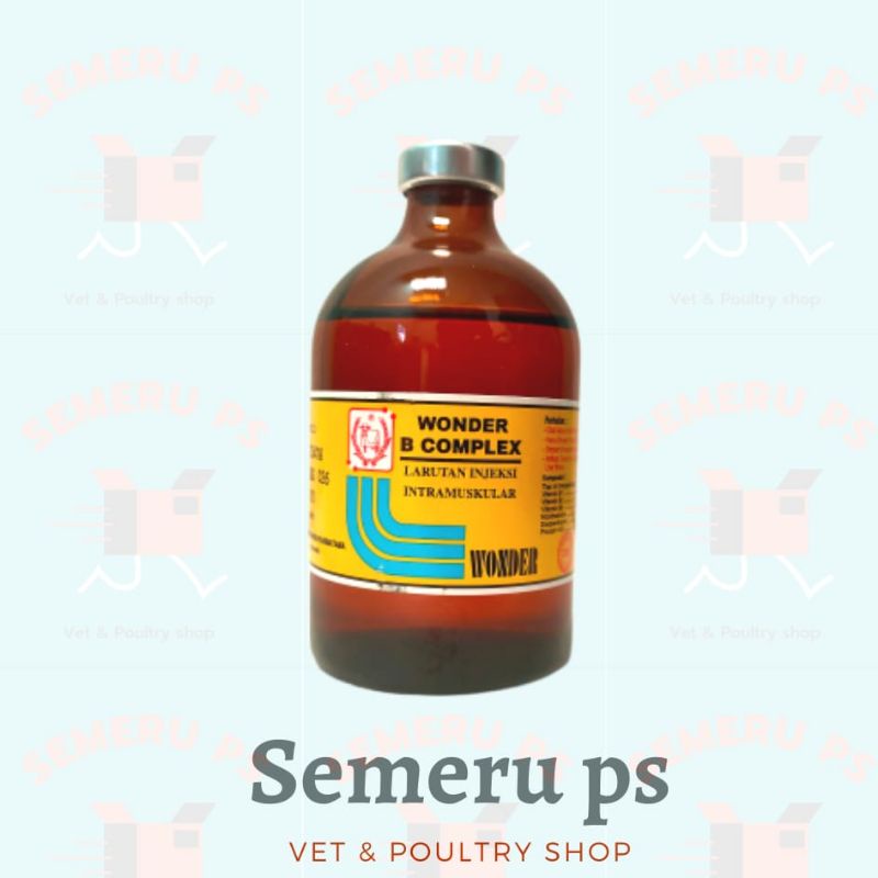 Vitamin B Complex injeksi 100 ml Wonder
