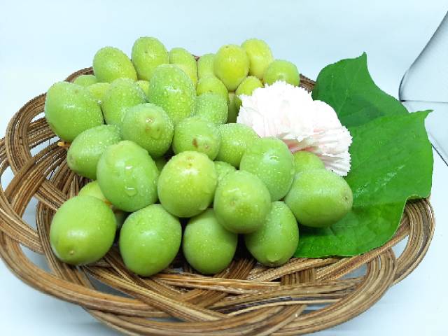 

Kurma muda promil hijau fresh ruthob mengkel