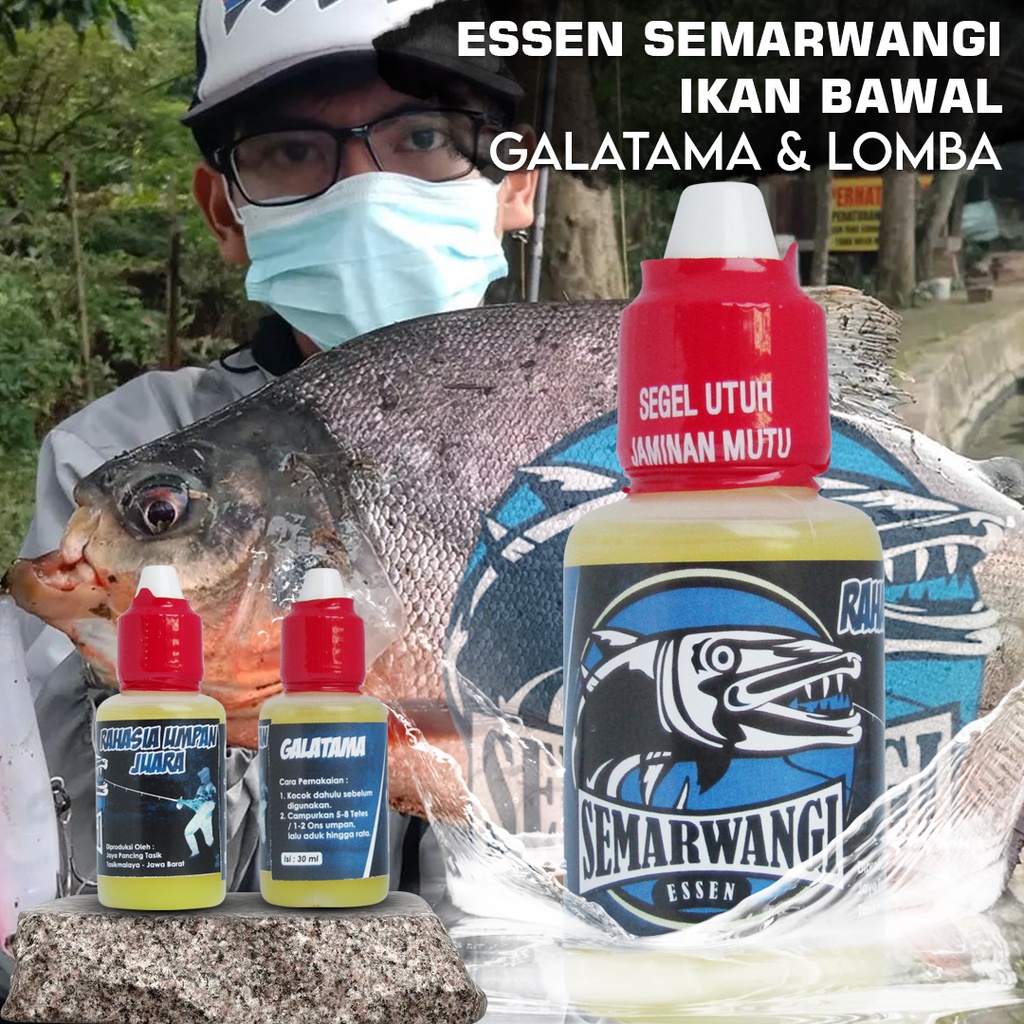Essen Ikan Bawal Jitu Galatama Babon Semarwangi Umpan Oplosan Mancing Paling Ampuh