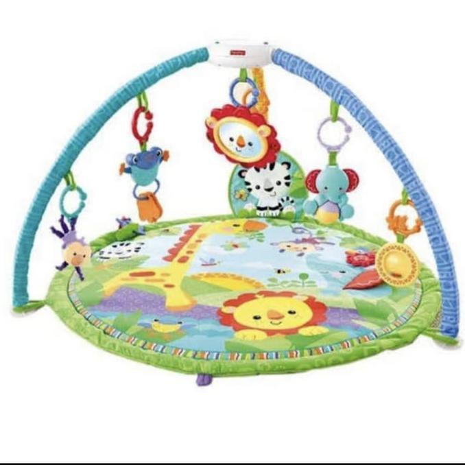 fisher price jungle play gym