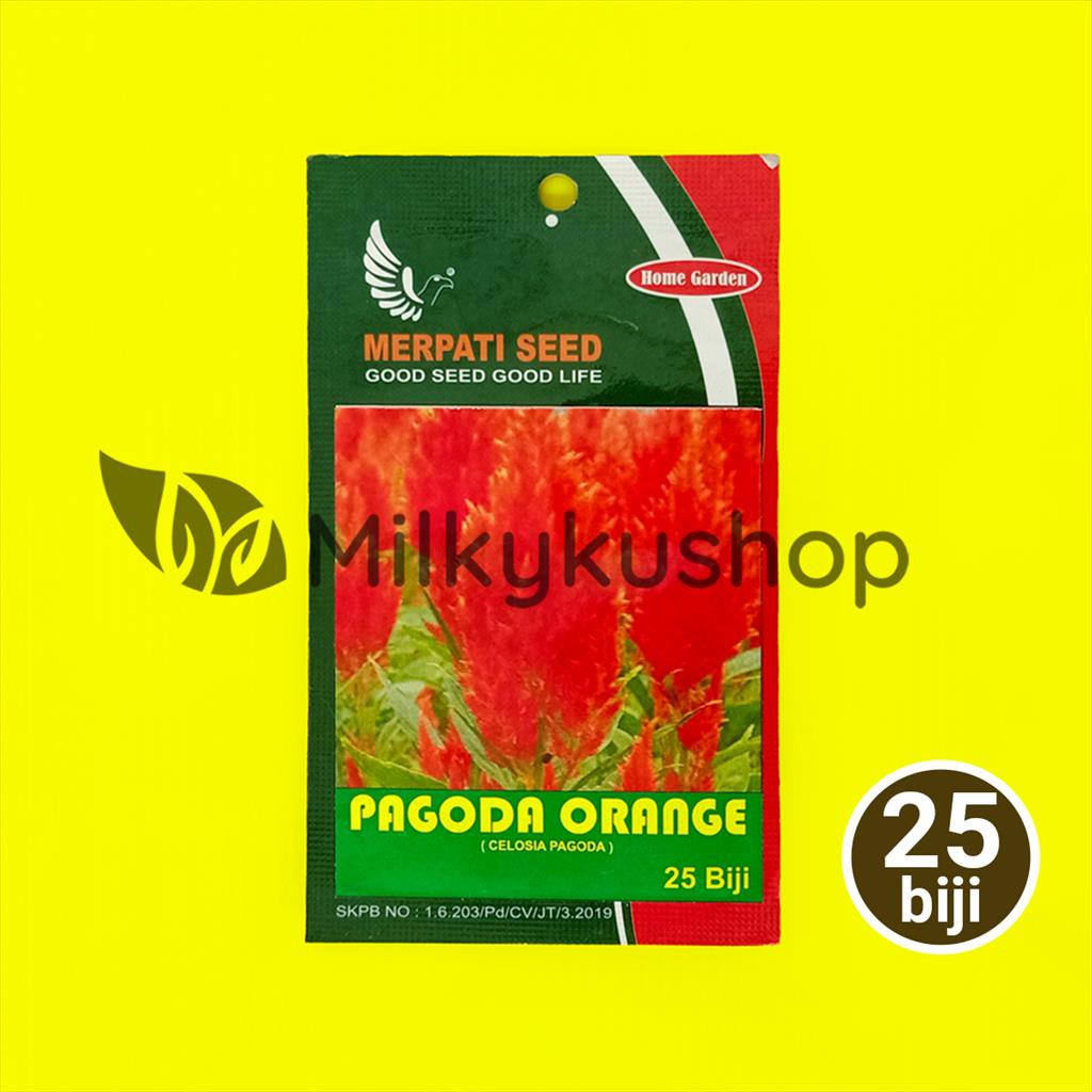 BENIH MERPATI SEED PAGODA ORANGE CELOSIA PAGODA 25 BIJI SACHET KP