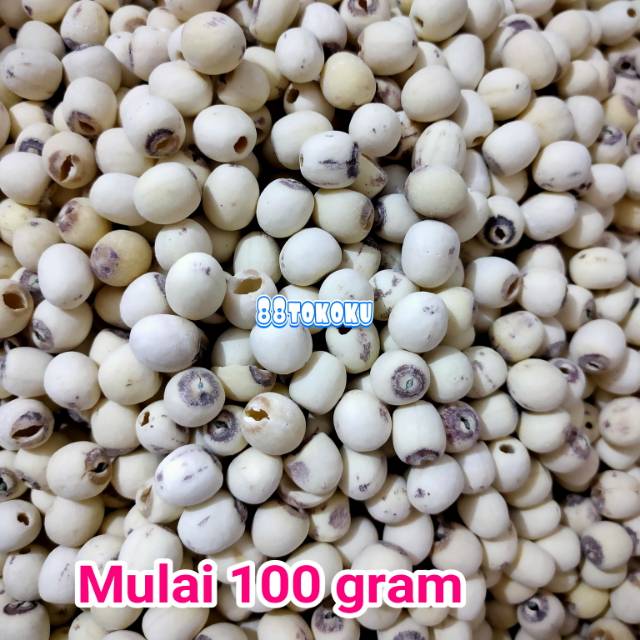 

Biji teratai putih lotus seed lianzhi lienci 100g