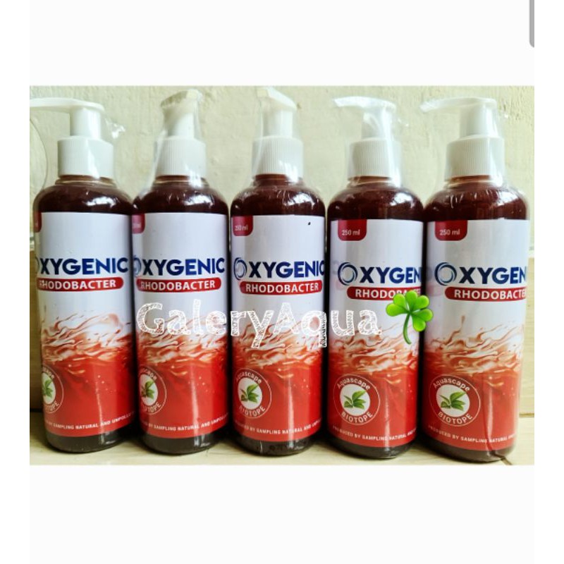Oxygenic Rhodobacter 250ml bakteri starter Aquascape