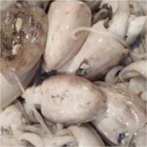 

Balakutak / 500 gr #Seafood #Segar #Online #Bandung #Cimahi