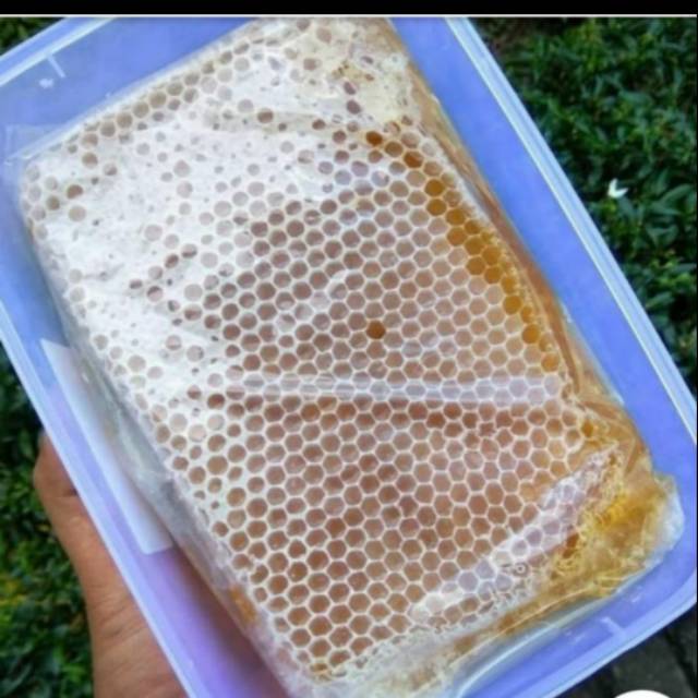 

MADU SARANG ASLI 500GRM/MADU MURNI 100%
