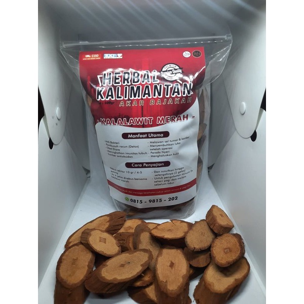 

Akar Kayu Bajakah Kalalawit Merah Premium Asli Kalimantan