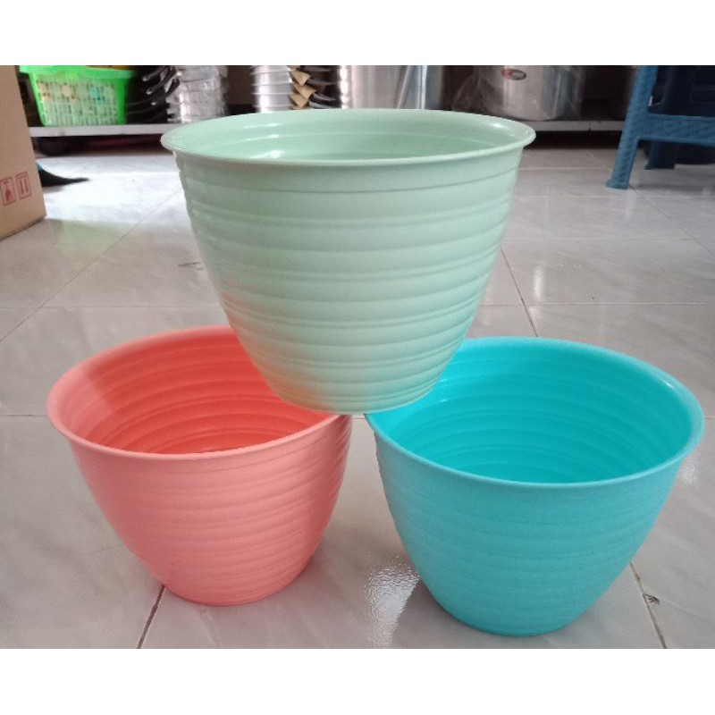 Calista Oentoeng / Pot Bunga Tawon / Pot tanaman Tawon sz 24 Cm +Kardus atas bawah &amp; Bublewrap