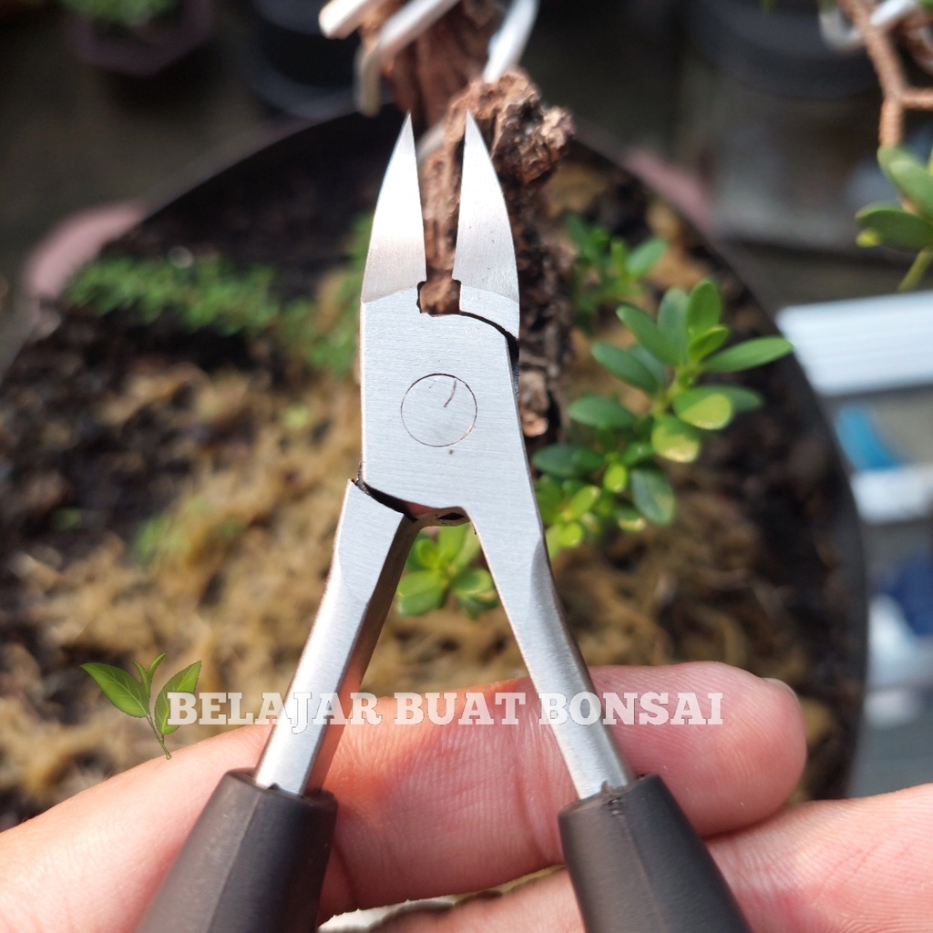 Tang Untuk Potong Kawat Dan Ranting Bahan Stainless Panjang 13 Cm