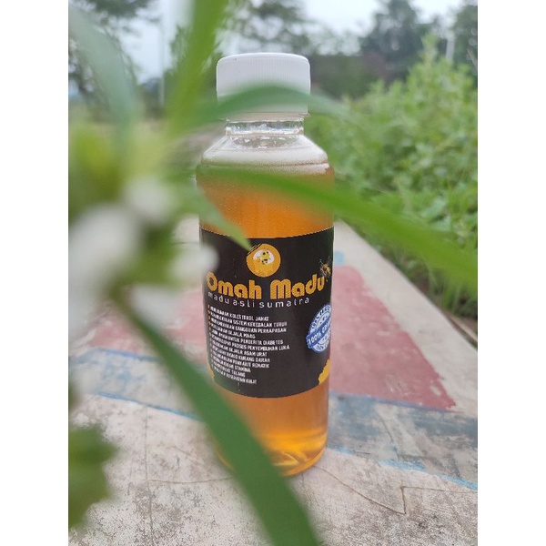 

Madu asli Sumatra || Omah Madu