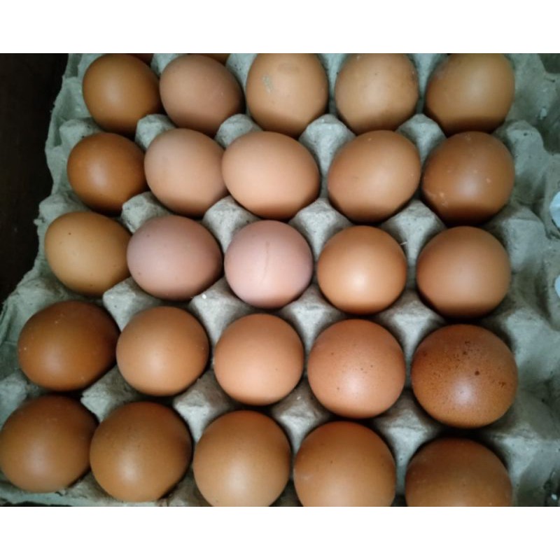 

TELUR RAK ISI 30pcs
