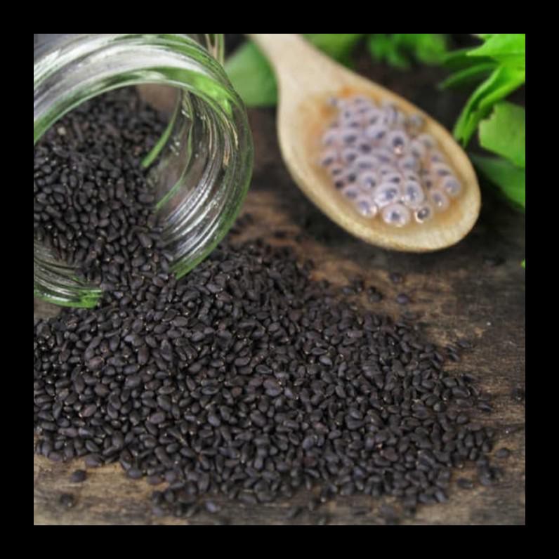 

SALE! BASIL SEED IMPORT 1KG / BIJI SELASIH IMPORT 1KG MURAH