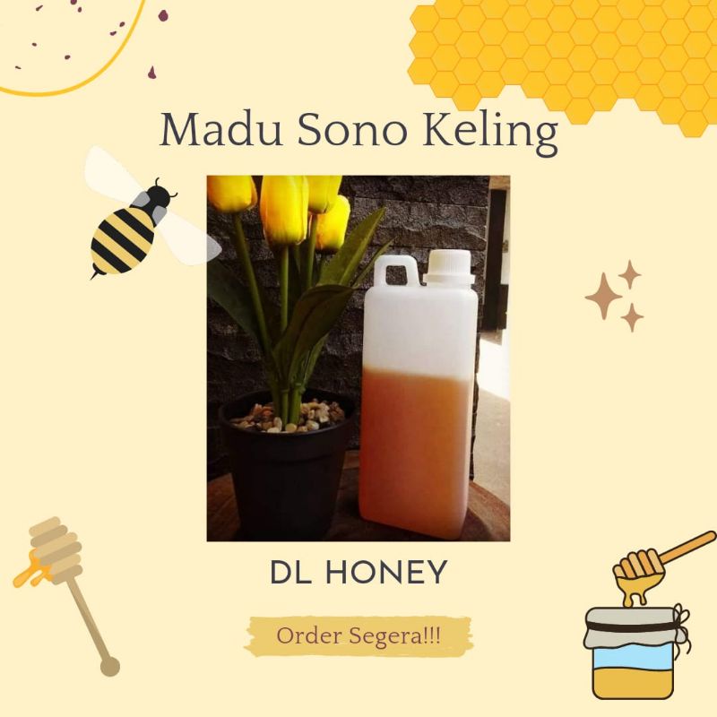 

Madu Cair Sonokeling Asli 100%