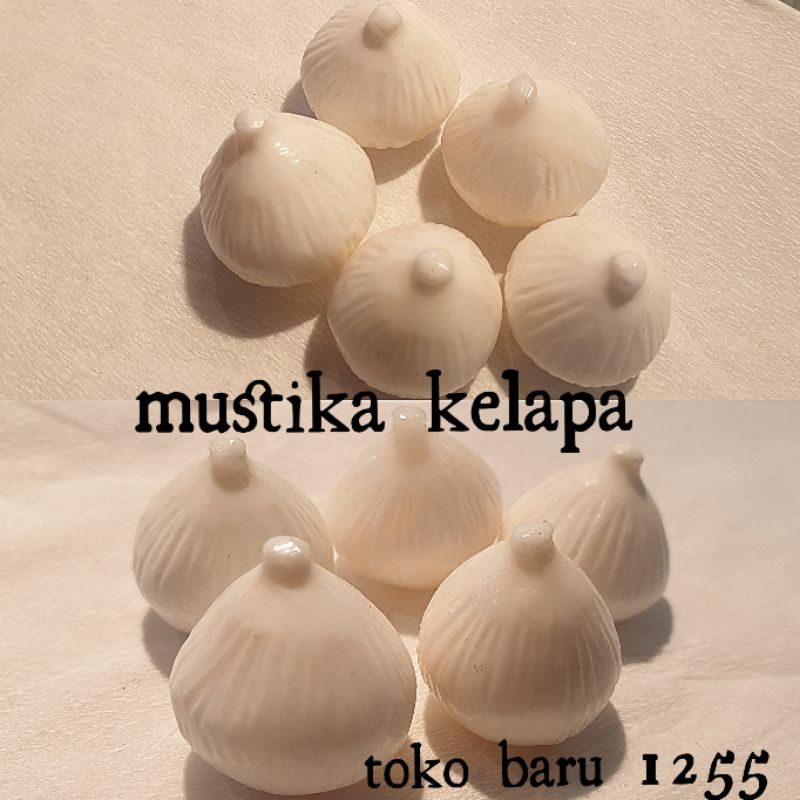 Batu mustika kelapa unik dan langka