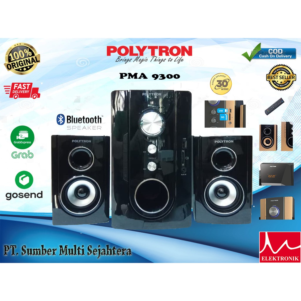 POLYTRON MULTIMEDIA SPEAKER PMA-9300 Active Subwoofer