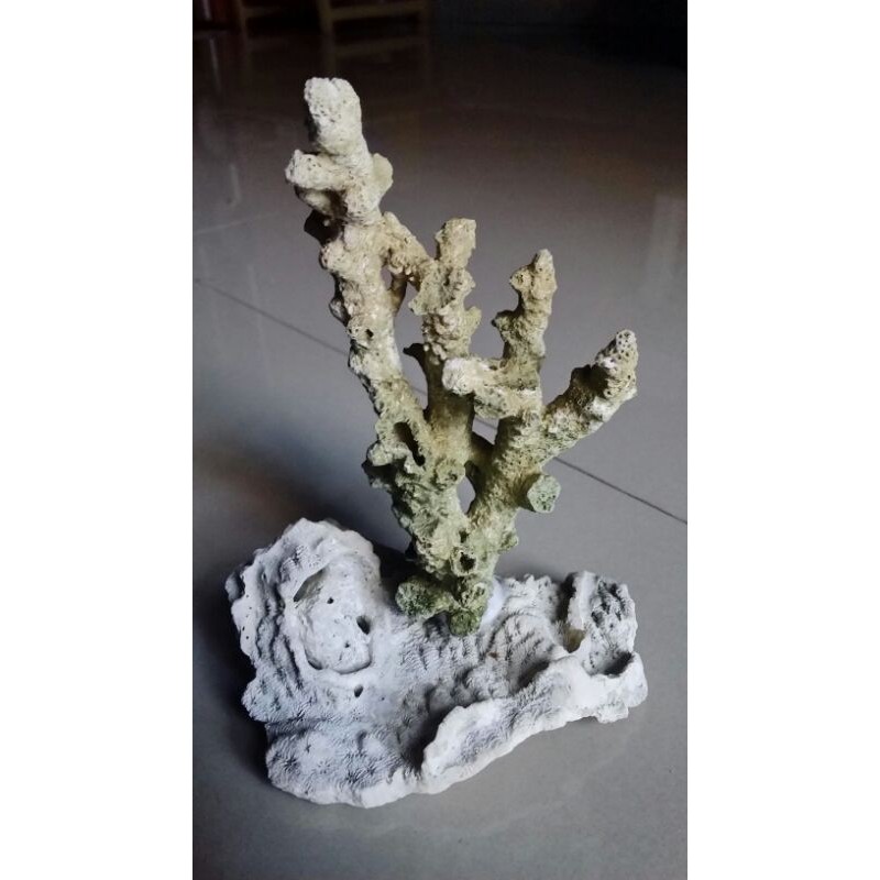 Batu karang hias batu karang laut batu karang aquarium rangkai terumbu ornamen aquarium