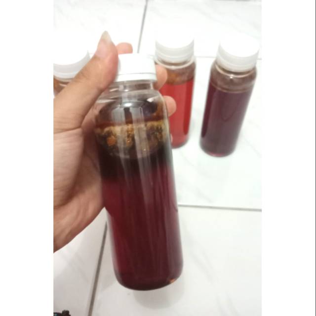 

Madu asli bima NTB