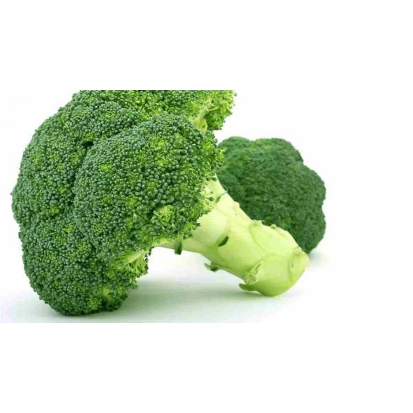 

BROKOLI SUPER PER 1KG