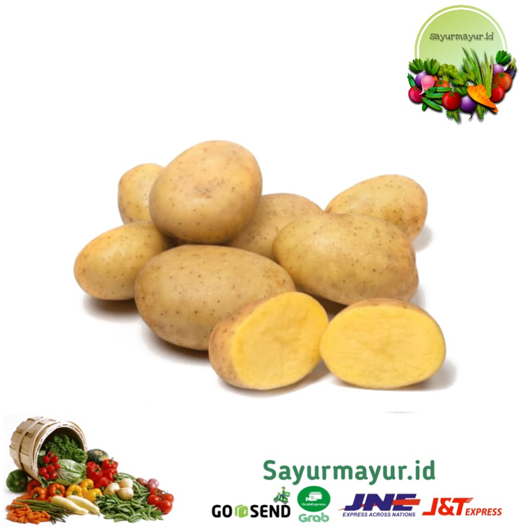 

KENTANG SAYURAN PER 1/4 (250 GRAM)