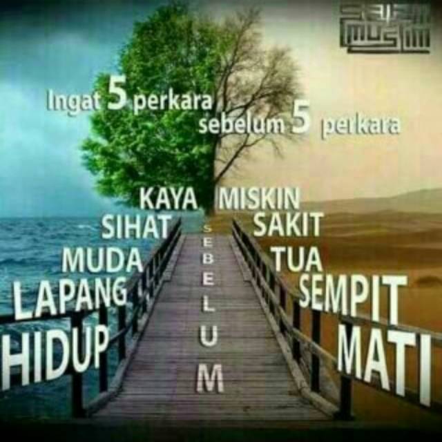 salmaniasaila29