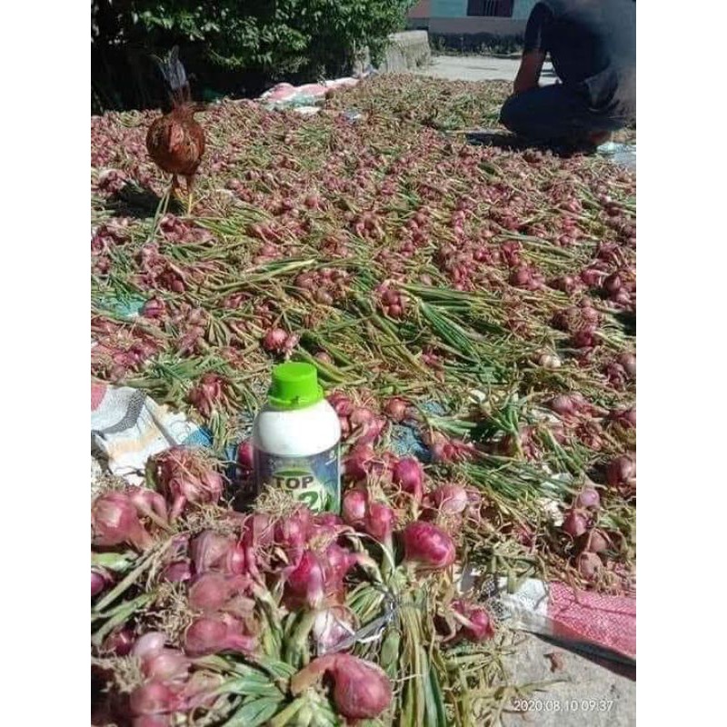 Pupuk organik cair Top G2.