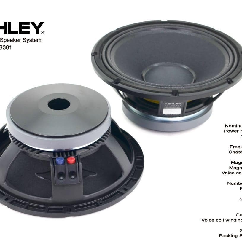 SPEAKER COMPONENT ASHLEY AL12G301 ORIGINAL 12 INCH AL 12G301 12 G301
