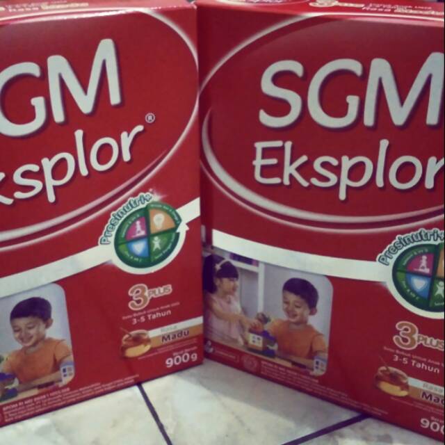 

SGM Eksplor 3+