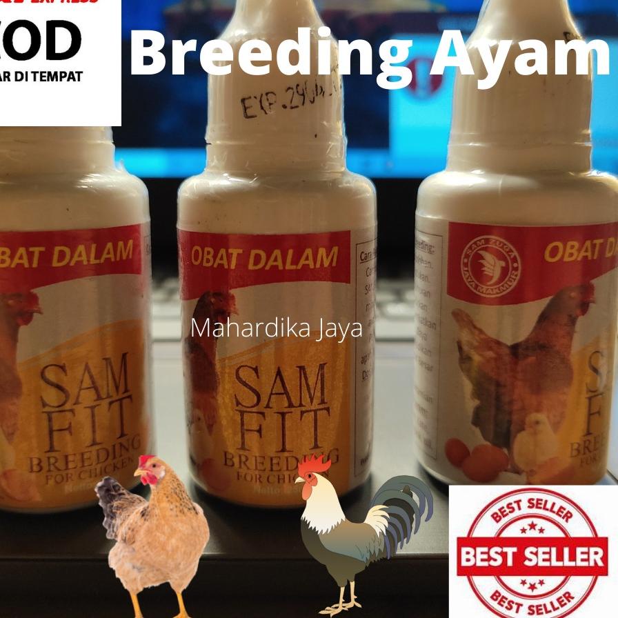  SAMFIT Ayam Agar Cepat Bertelur Obat Untuk Ternak Ayam Obat Ayam Biar Bertelur Setiap Hari Vitamin Ayam Bertelur Obat Ayam Susah Bertelur Obat Ayam Supaya Bertelur Jamu Doping Ayam biar Cepat Bertelur Ayam Betina Petelur Bangkok Petarung Aduan Arab