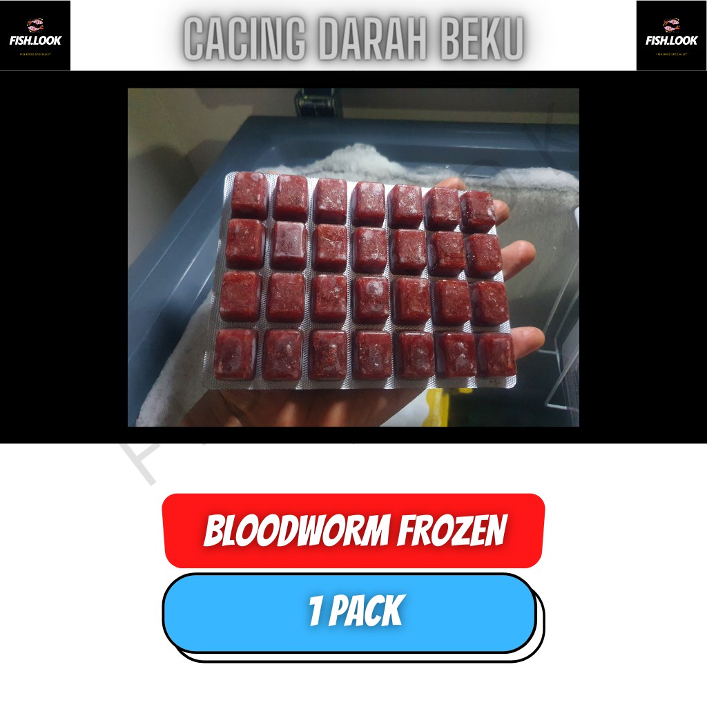 Cacing Beku / Frozen Bloodworm PIONEER 100gr (GOJEK AND GRAB ONLY)