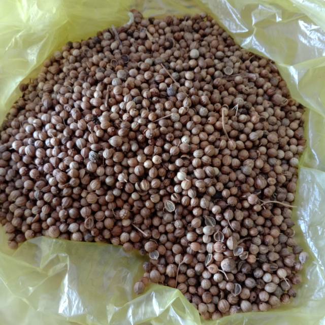 

Ketumbar 1000gr (1kg)
