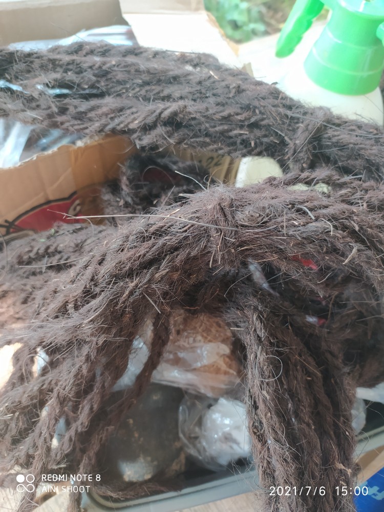 Tali Ijuk Aren Hitam, Gazebo Dan Media Anggrek 20m