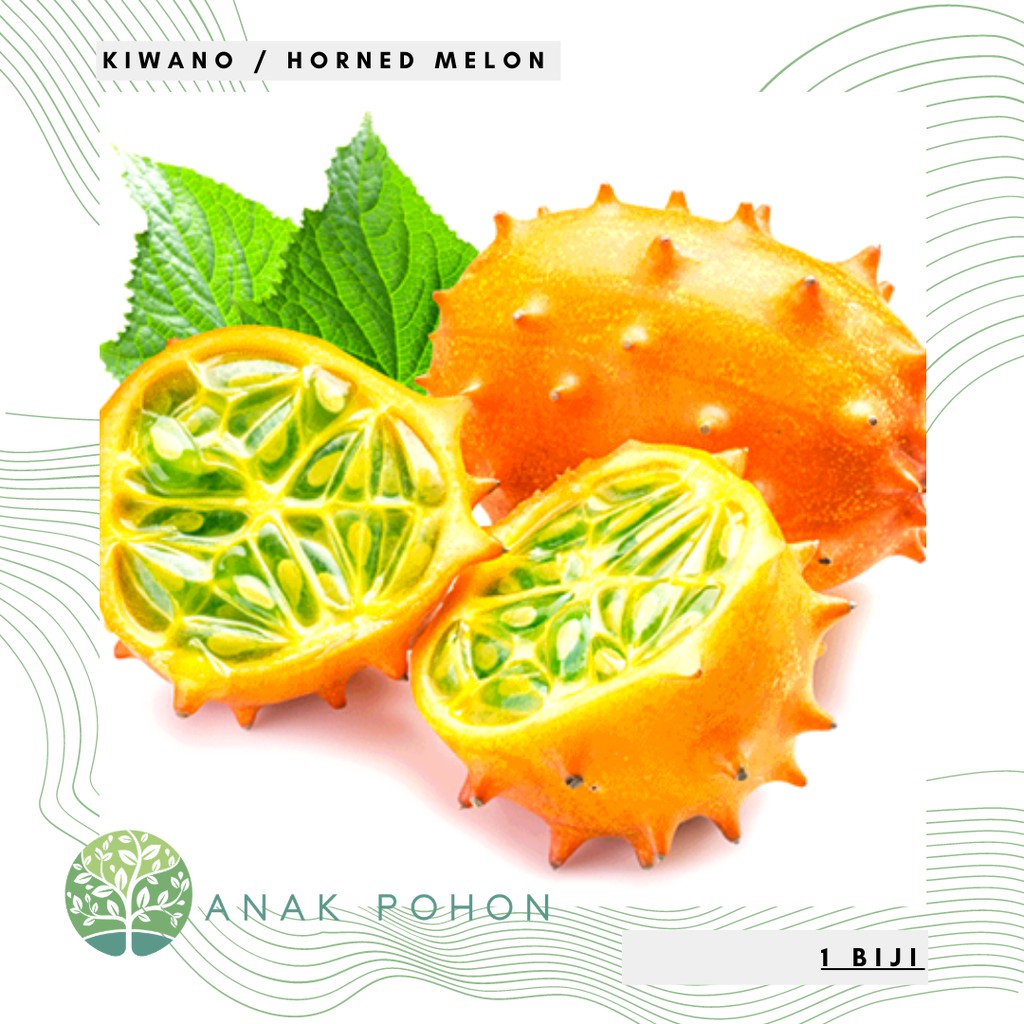 Benih Bibit Biji - Buah Kiwano Horned Melon (Timun / Melon Tanduk Berduri) Seeds