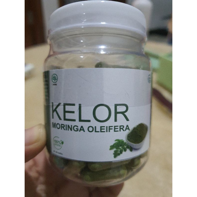 DAUN KELOR / MORINGA OLEIFERA 100% ALAMI ORGANIK