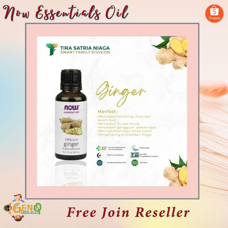 Now Essential Oil Ginger