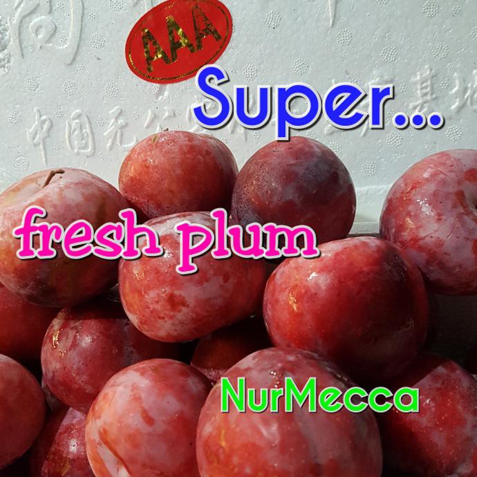 

Oleh-oleh Haji Buah plum 1kg segar fresh merah program diet fruit import