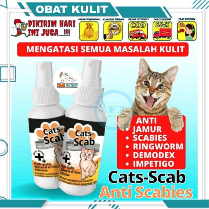 Obat Jamur Kucing Cats Scabs Scabies Demodex Impetigo Jamur Kutu Parasit Cacing Hati Gatal Kulit ANTI KUTU