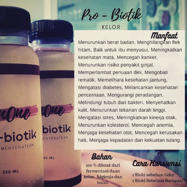 

Pro Biotik Daun Kelor