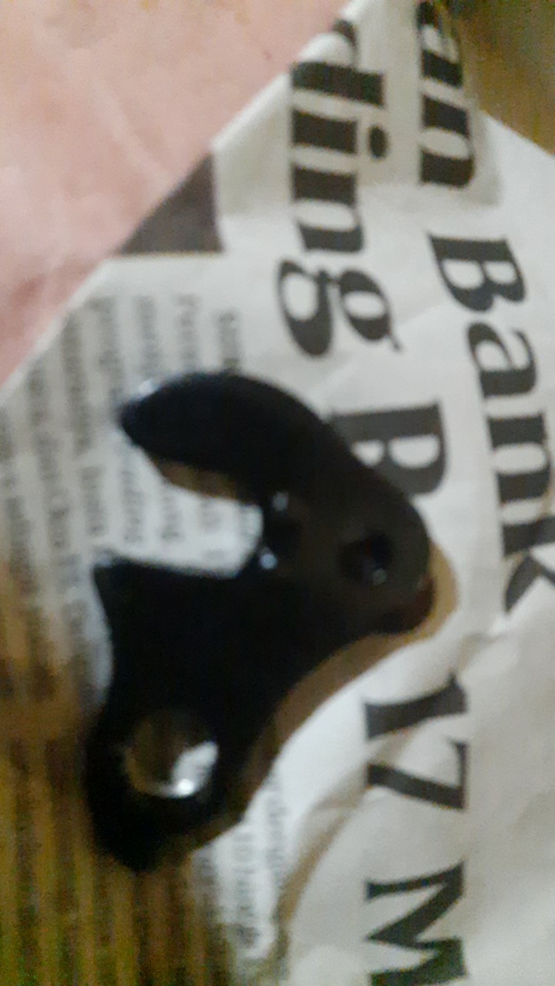 Anting Rd / Drop Out / Hanger Rd / Rear End / Kuku Macan Besi Hitam