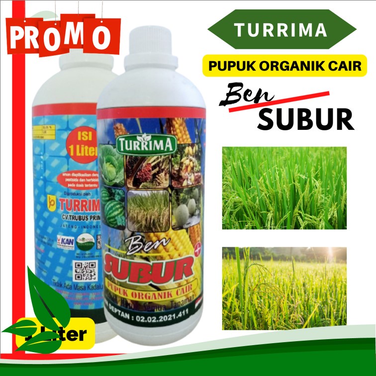 pupuk padi agar beranak banyak, PUPUK ORGANIK CAIR BEN SUBUR, Nutrisi  padi agar panen melimpah