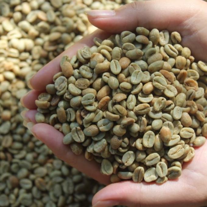 

kopi arabica semende (naturalproses)