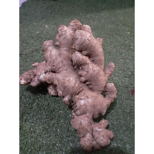 

Jahe 1kg freesh