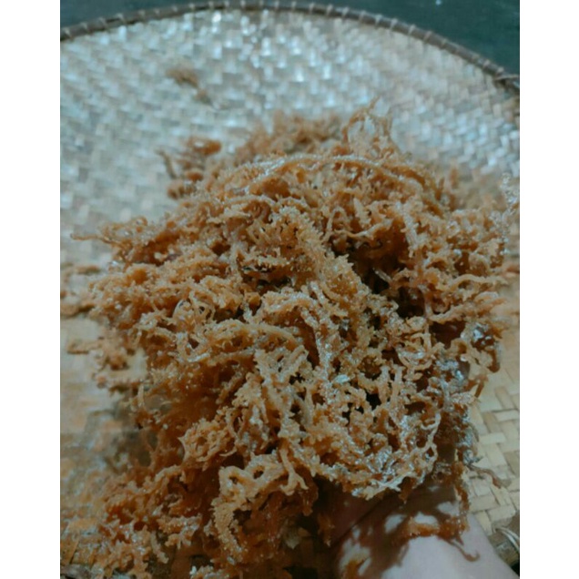 

rumput laut borneo kalimantan