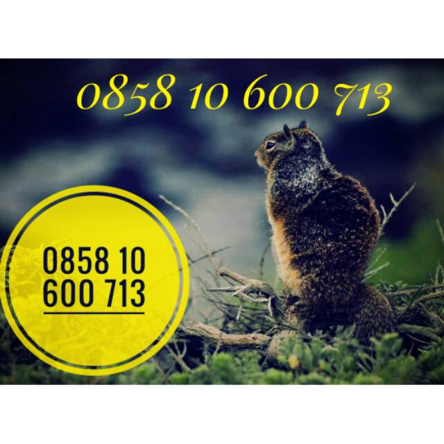 NOMER CANTIK INDOSAT/NOCAN INDOSAT