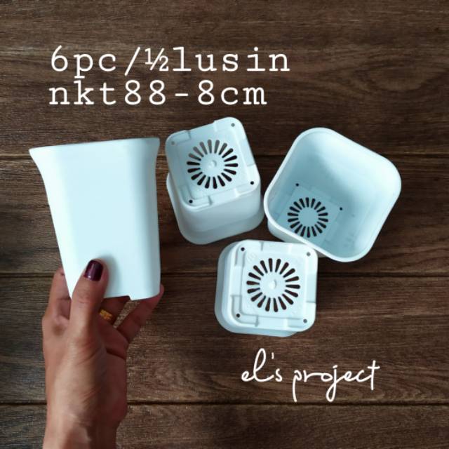 Set 6pc Pot kotak minimalis  nkt88 8cm pot  kaktus kotak  