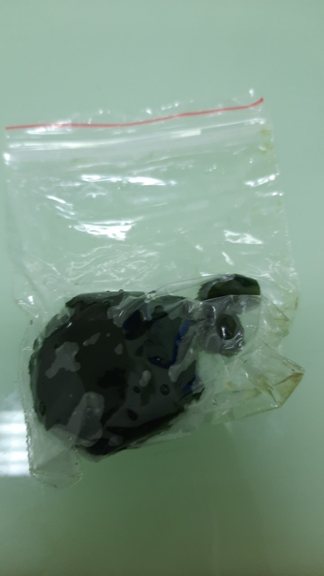 Marimo Moss Ball Alga Jepang Satuan Ukuran 3 - 3.5 Cm