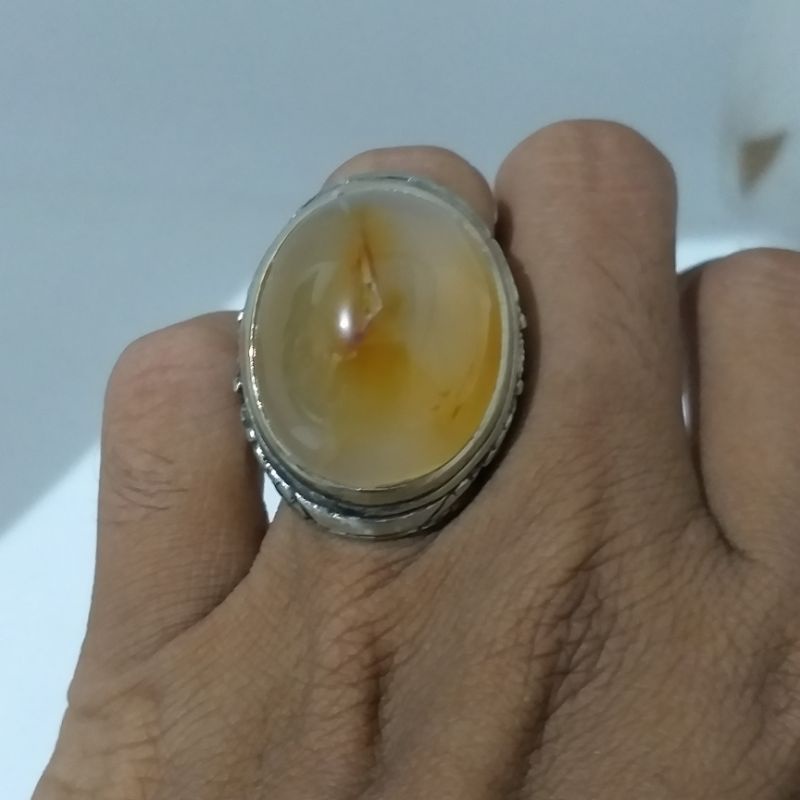 Anggur Semi combong.