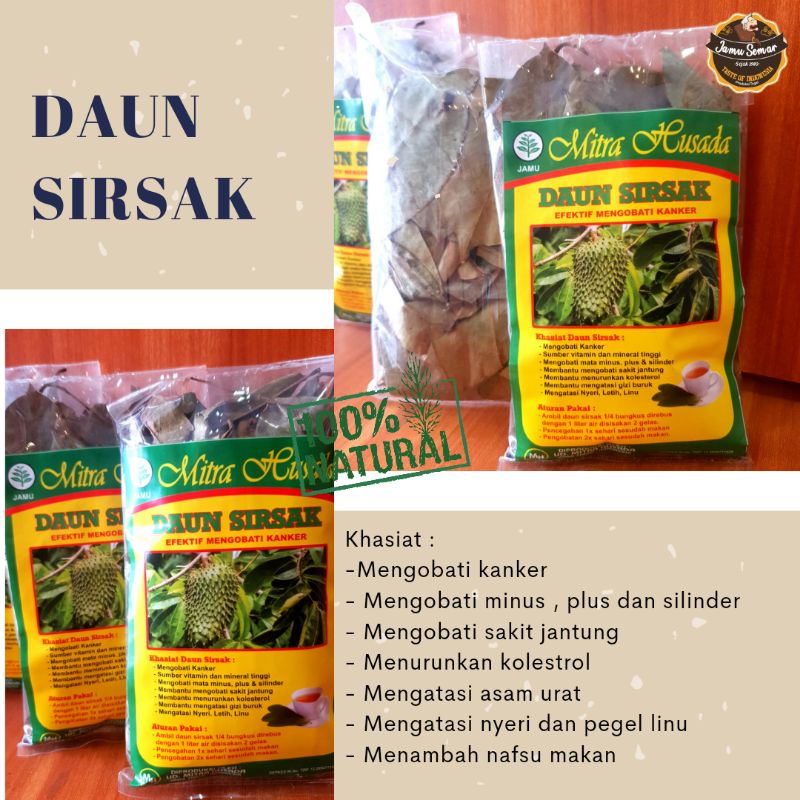 

Daun Sirsak