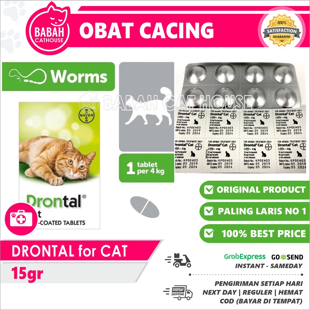 Jual DRONTAL CAT Asli Original Obat Cacing Kucing Anak Kitten Ampuh