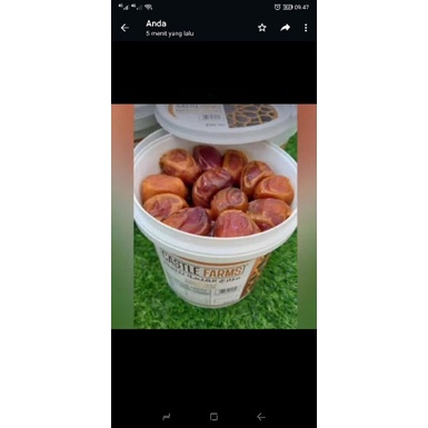 

Sukkari Premium Ember KementanRI